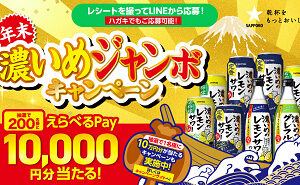 「えらべるPay 10万円」