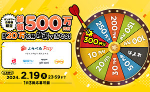 「えらべるPay300円分」