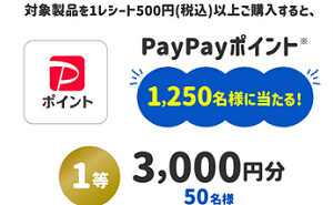 「PayPayポイント 3,000円分」