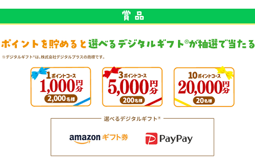 「選べるデジタルポイント 2万円」