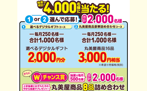 「選べるデジタルギフト 2,000円」