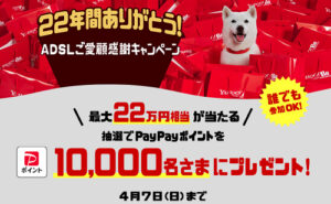 「PayPayポイント 22万円」