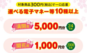 選べる電子マネー 5,000円分