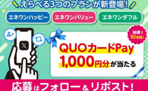 QUOカードペイ1000円分