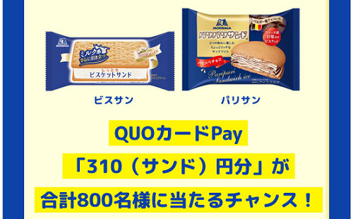 「QUOカードPay310（サンド）円」