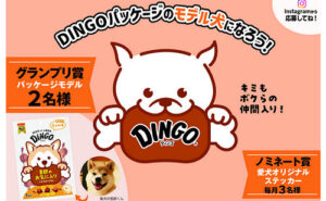 「DINGOパッケージのモデル犬」募集！