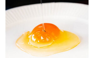 超高級卵！東京うこっけいの卵20個セット