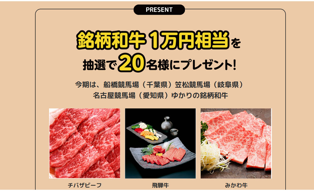 銘柄和牛１万円相当
