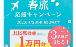「HIS旅行券 SKY １万円」