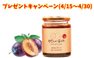 「やさしいジャム プルーン１瓶(240g)」