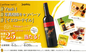 「イエローテイルピンク モスカート」「QUOカード 4,000円」
