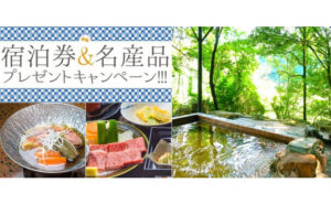 「旅館100選 ペア宿泊券・名産品」