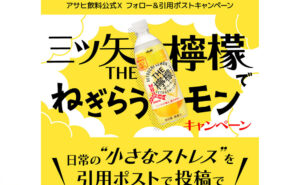 「三ツ矢THE檸檬 PET500ml」「ストレス解消グッズ」