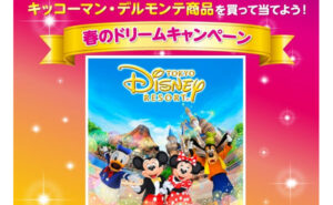 「東京ディズニーリゾート パークチケット」