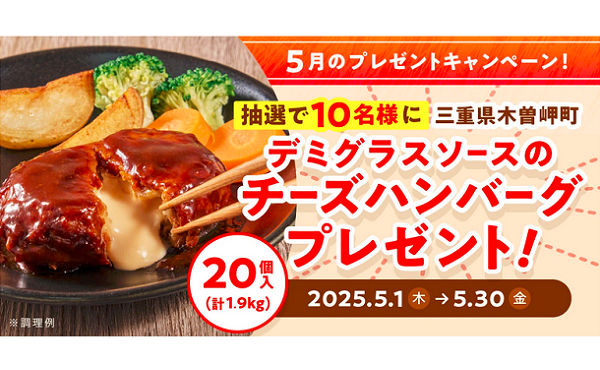 デミグラスソースのチーズハンバーグ