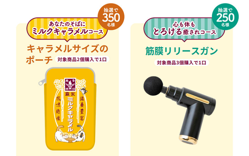 「キャラメルサイズのポーチ」「筋膜リリースガン」