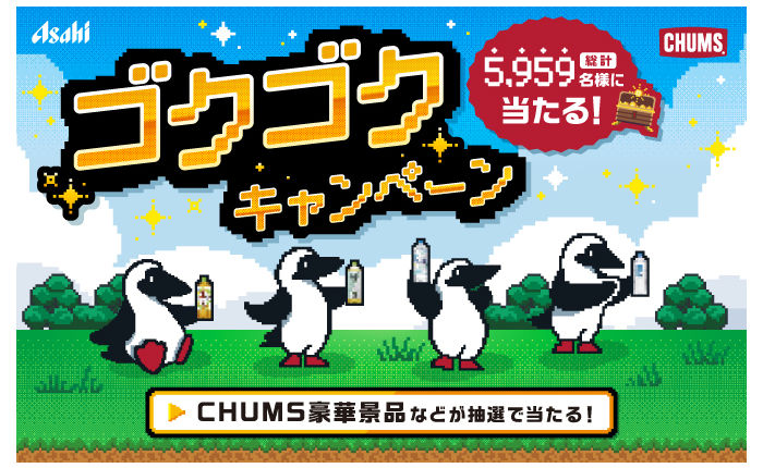 「CHUMS豪華景品（クーラーボックス・Ｔシャツ＆ボトルホルダー）」