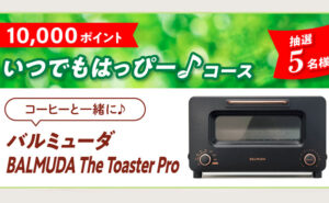 「バルミューダ BALMUDA The Toaster Pro」