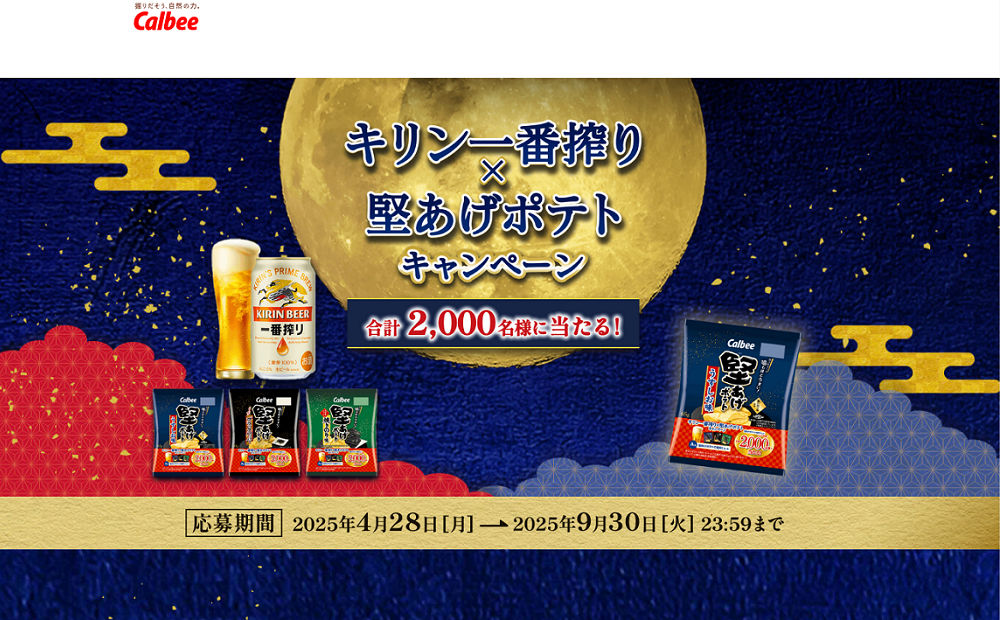 「堅あげポテトで乾杯！セット」「堅あげポテト焼きのり味1ケース」