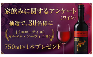 「イエローテイル カベルネ・ソーヴィニヨン 750ml」