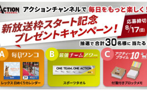 「日めくりカレンダー」「タオル」