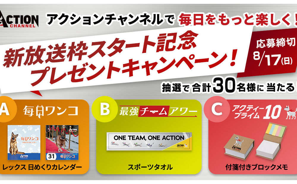 「日めくりカレンダー」「タオル」
