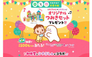 「わこちゃん×シナぷしゅオリジナルつみきセット」