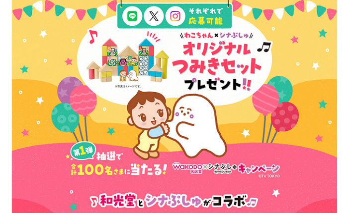 「わこちゃん×シナぷしゅオリジナルつみきセット」