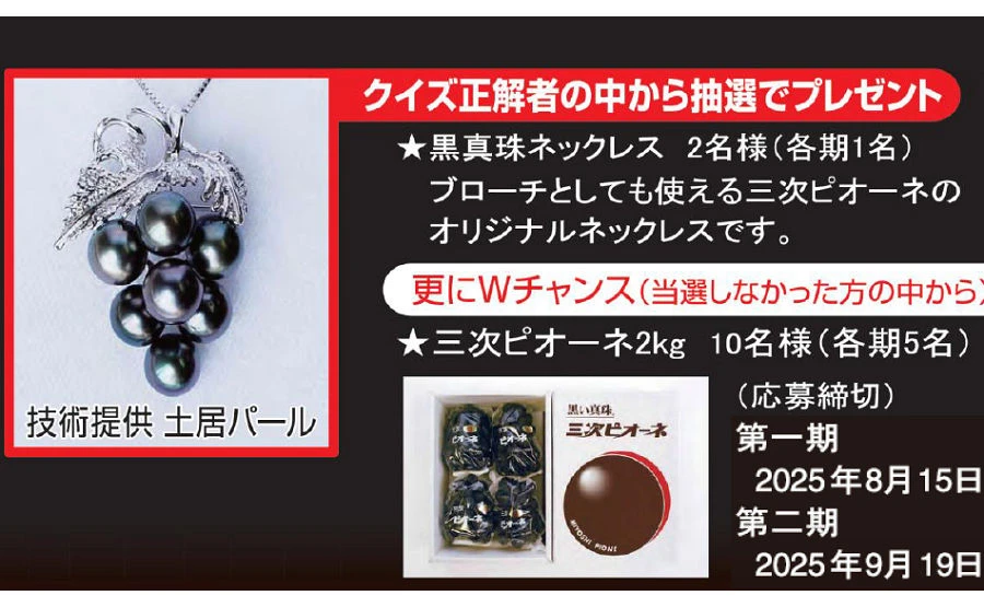 「三次ピオーネオリジナル黒真珠ネックレス（30万円相当）」「三次ピオーネ」