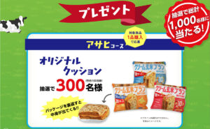「オリジナルクッション」「オリジナルパーカー」「えらべるPay 500円分」