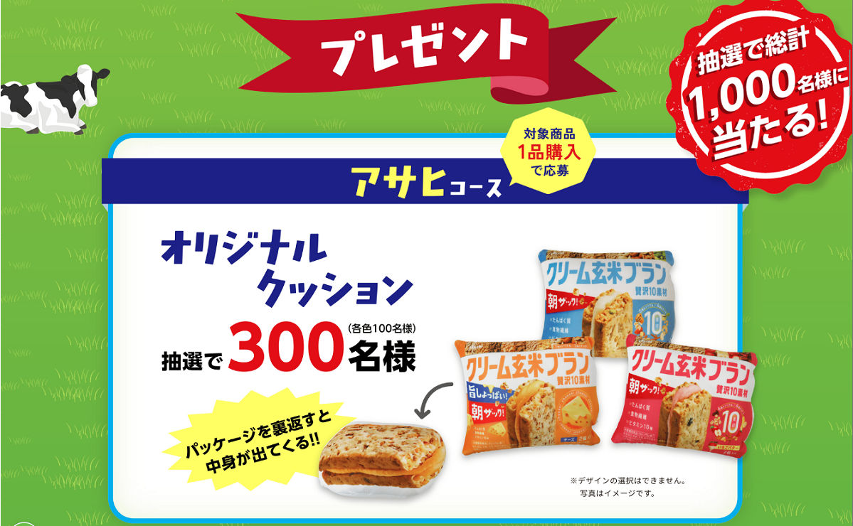 「オリジナルクッション」「オリジナルパーカー」「えらべるPay 500円分」