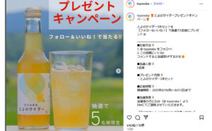 とよのサイダー3本セット