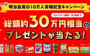「総額約30万円相当」