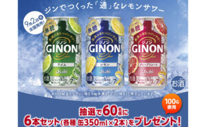「GINON3種6本セット」