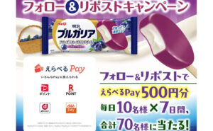 「選べるデジタルポイント（500円分）」
