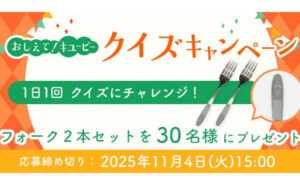 「キユーピー フォーク2本セット」