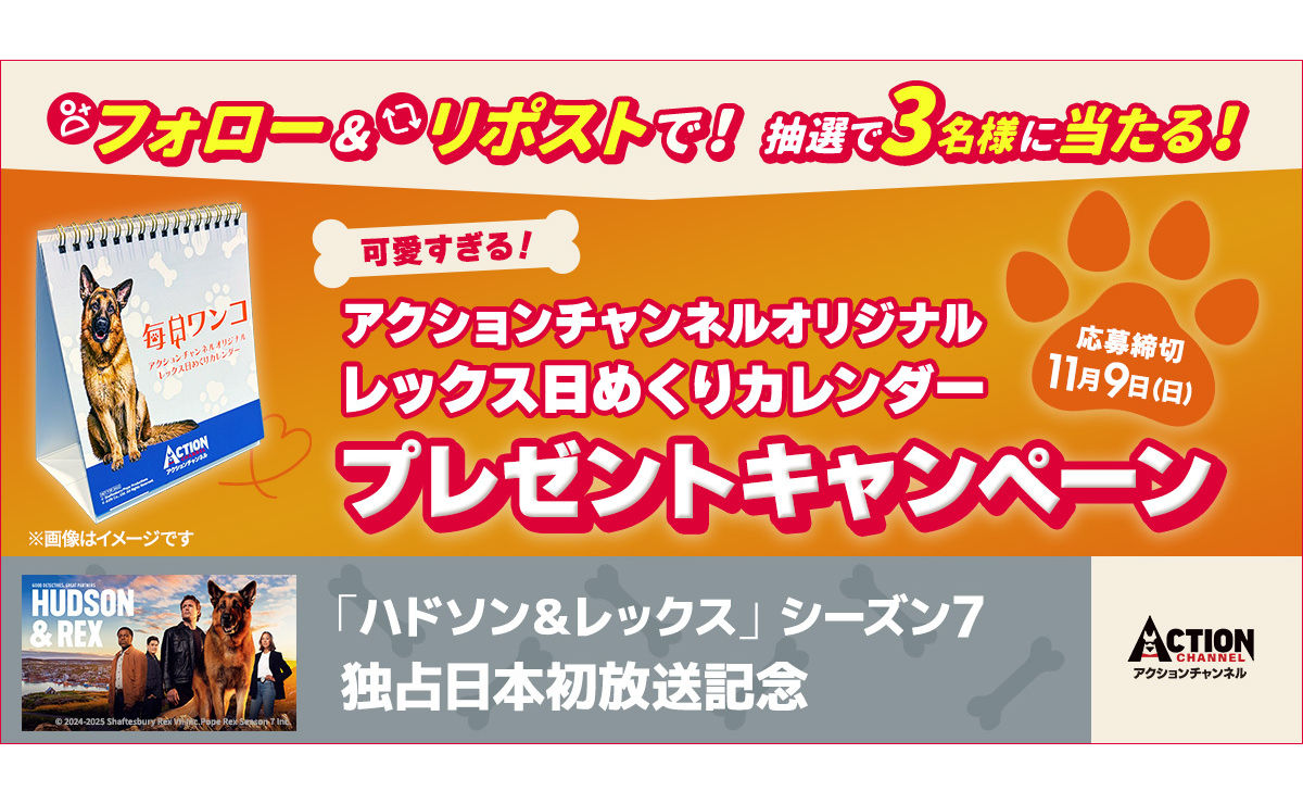 「ハドソン&レックス」シーズン7放送記念で「レックス日めくりカレンダー」当たる!