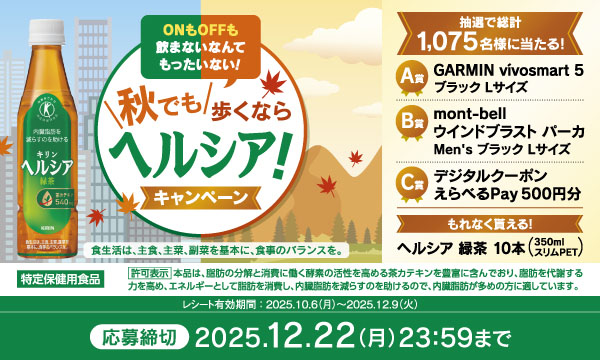 「GARMIN vívosmart 5 ブラック Lサイズ」