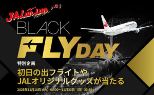ブラックフライデー「初日の出フライト」など当たる！