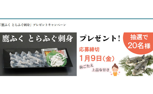 味わう冬の贅沢！長崎・松浦産「鷹ふく とらふぐ刺身」当たる！