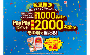 「安心をストックキャンペーン」でPayPayポイント最大2,000円分が当たる