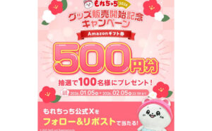 Amazonギフト券500円分