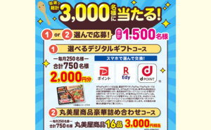 丸美屋釜めし「デジタルギフト」「商品詰め合わせ」当たる！