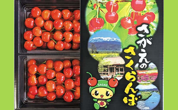 山形県産さくらんぼ「佐藤錦」1kgが当たる春の新生活応援キャンペーン!