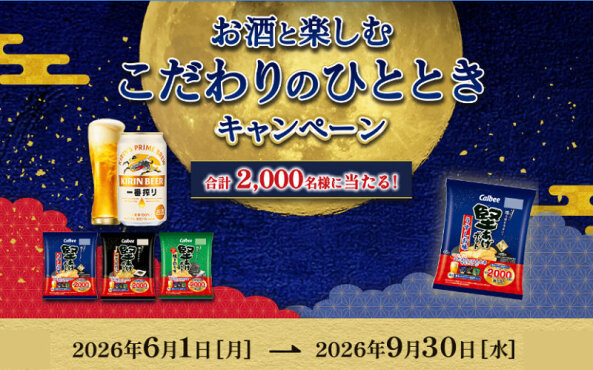 「堅あげポテトで乾杯！セット」「ながら時間満喫セット」「Amazonギフトカード500円」当たる！